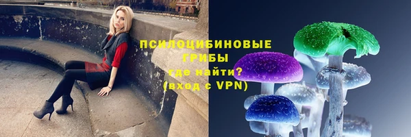 mdpv Лабытнанги