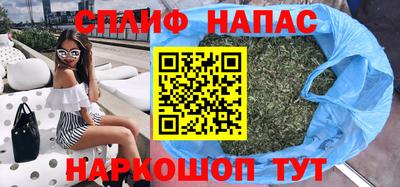 шишки Кингисепп
