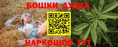 шишки Кингисепп