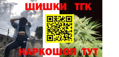 шишки Кингисепп