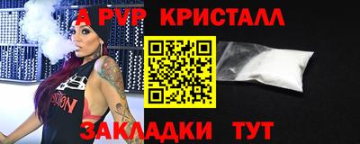 шишки Кингисепп