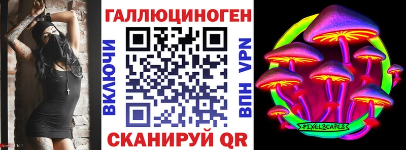 МЕГА   Строитель  Псилоцибиновые грибы Psilocybine cubensis 