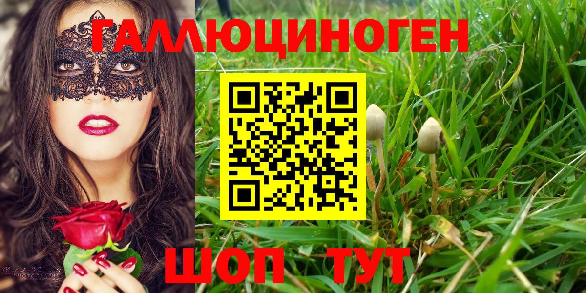 Галлюциногенные грибы Psilocybe Строитель