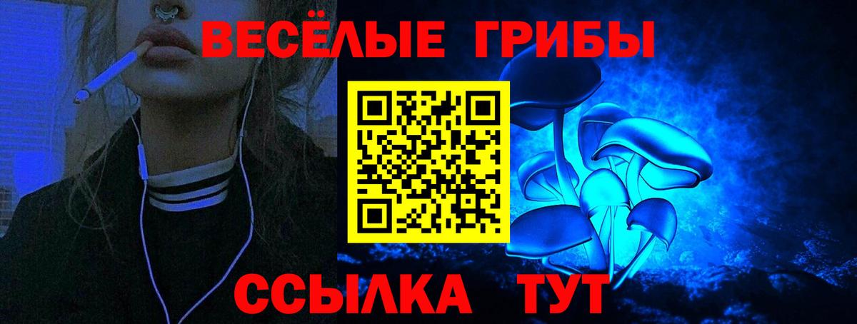 Строитель  Галлюциногенные грибы Cubensis  Вход с VPN 